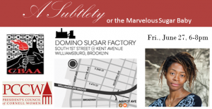A Visit to the Kara Walker Exhibit @ Domino Sugar Factory | New York | New York | United States